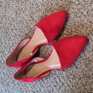 Pointy Toe Flat Shoe